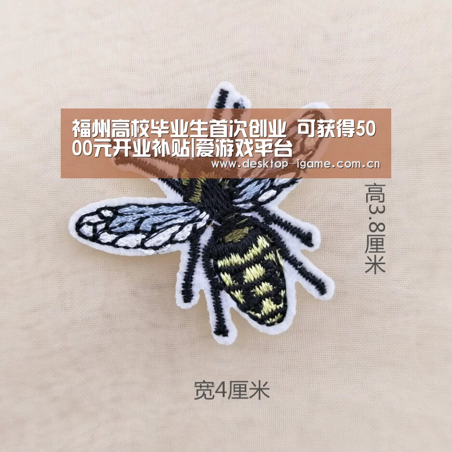 福州高校毕业生首次创业 可获得5000元开业补贴|爱游戏平台(图2) ayx下载
