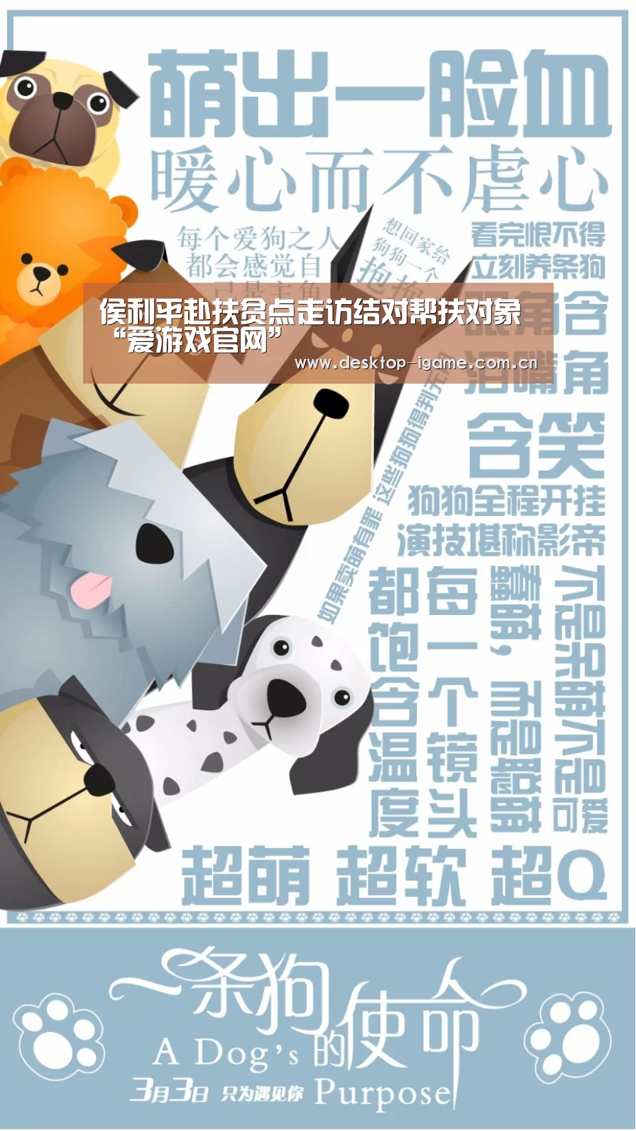 爱游戏平台