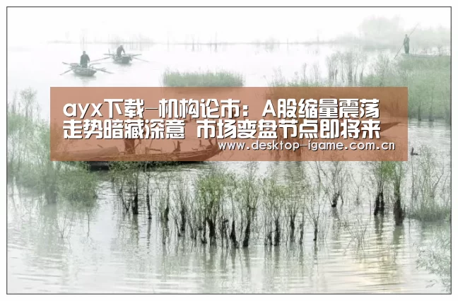 ayx下载